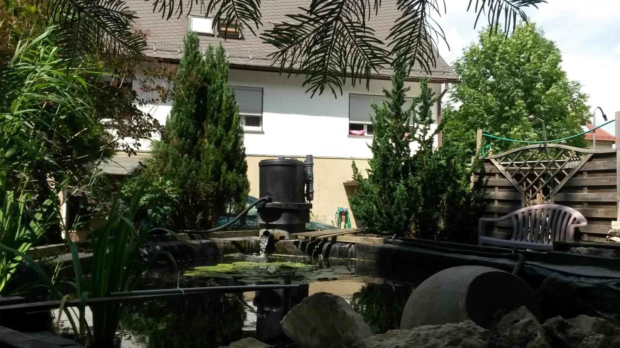 Haus Am Waldrand Apartment ไฟร์ทาล ภายนอก รูปภาพ